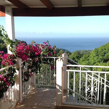 Villa Des Iles Basse-Terre Exterior foto
