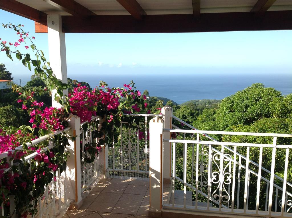 Villa Des Iles Basse-Terre Exterior foto